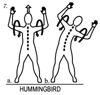 spinal hygiene exercise 7 hummingbird