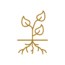 A simple gold line drawing of a plant with three leaves above a horizontal line and branching roots below it, symbolizing growth, connection to the earth, and holistic well-being—perfect for representing Mid Back Pain Treatment.