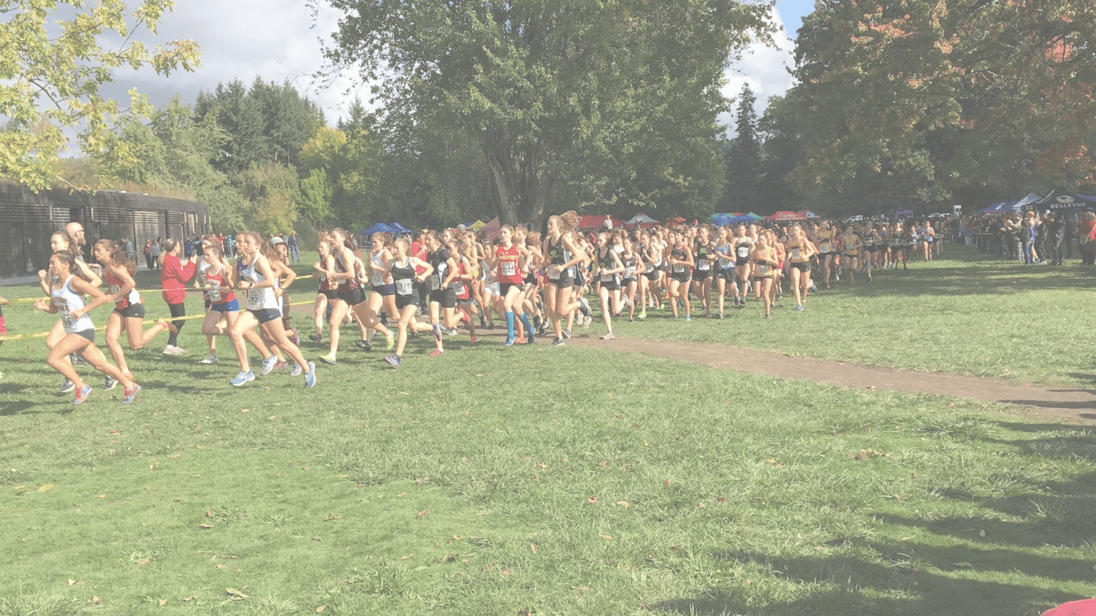 A large group of runners, mostly young women, are starting a cross-country race on a grassy field surrounded by trees and spectators under a partly cloudy sky—perfect for any Factoria Chiropractic fans cheering from the sidelines. issaquah race - issaquah chiropractic | Cummins Chiropractic