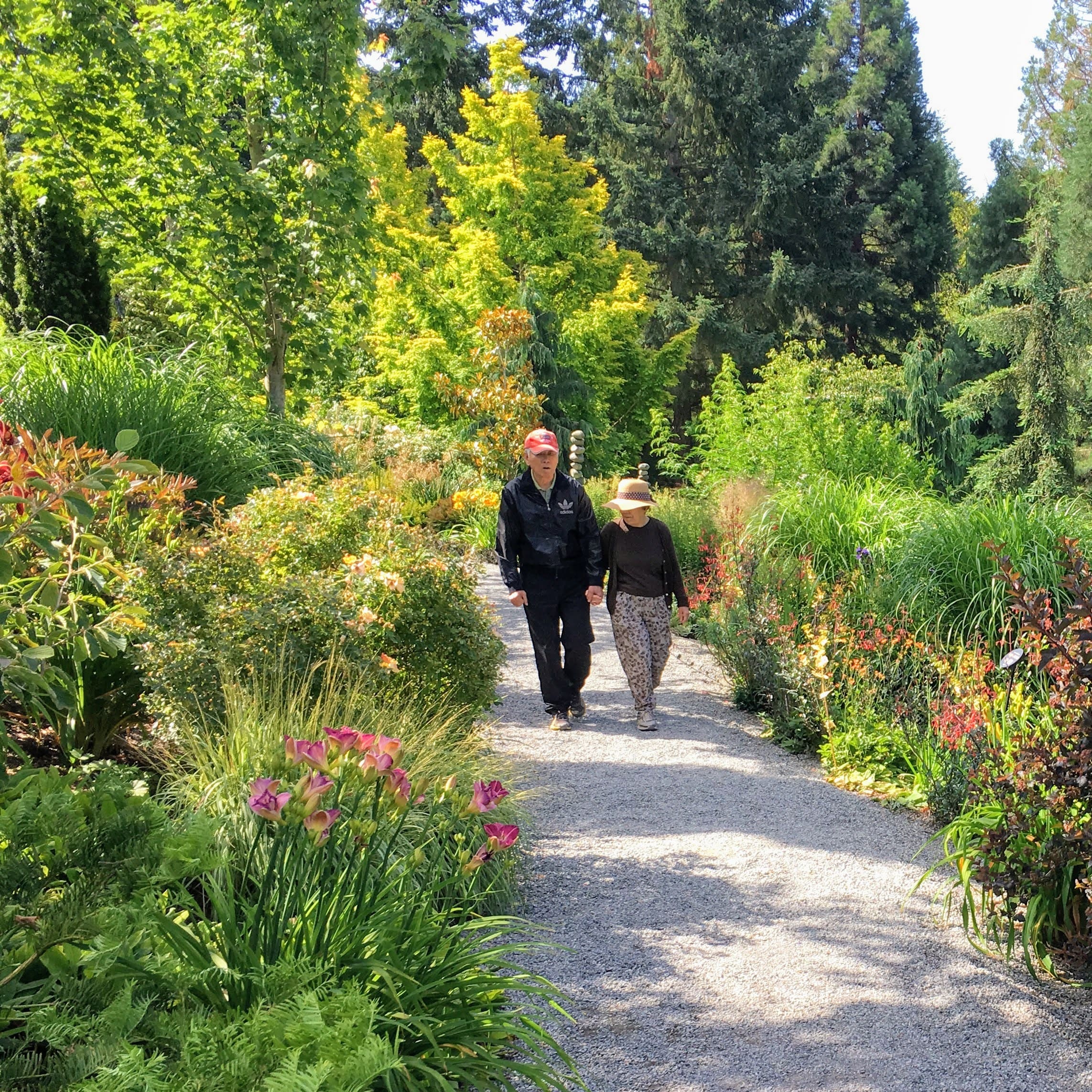 Two people walk on a gravel path through a lush, colorful garden with green trees and flowering plants. Wearing hats and enjoying the sunlight, they chat about preventing back pain after gardening in this vibrant, peaceful setting.