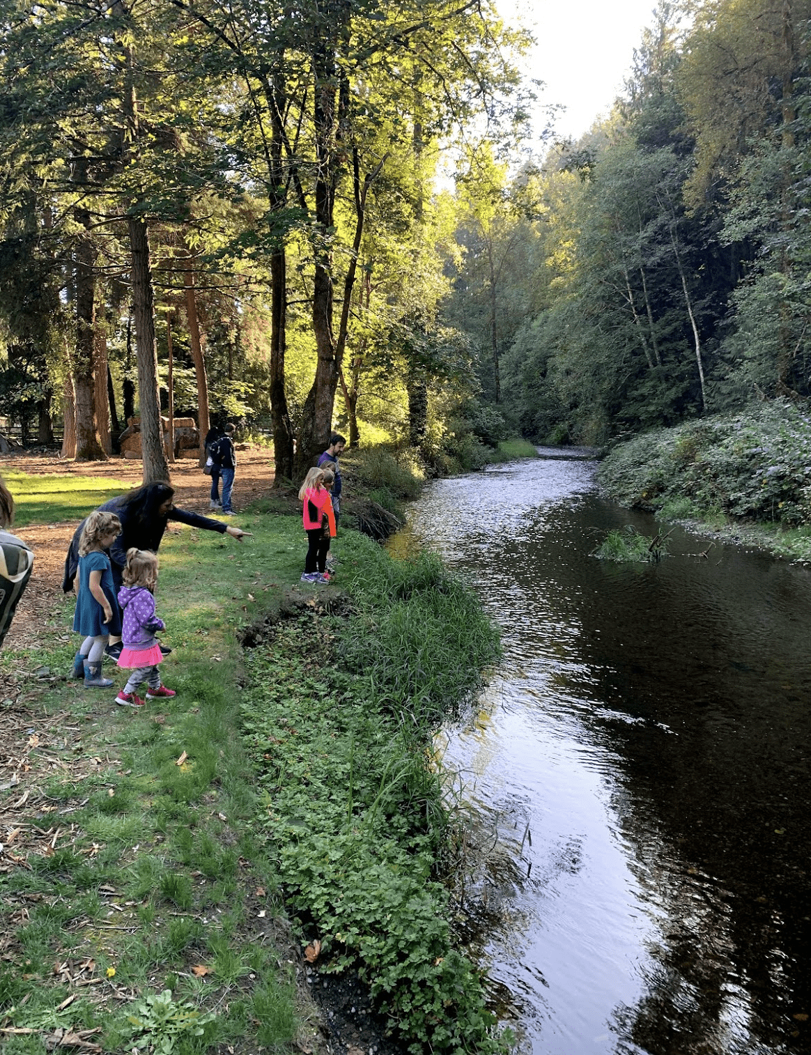 Several children and adults stand on a grassy bank by a calm, tree-lined river in an Issaquah forest, enjoying the outdoors on a sunny day as sunlight filters through the tall trees.