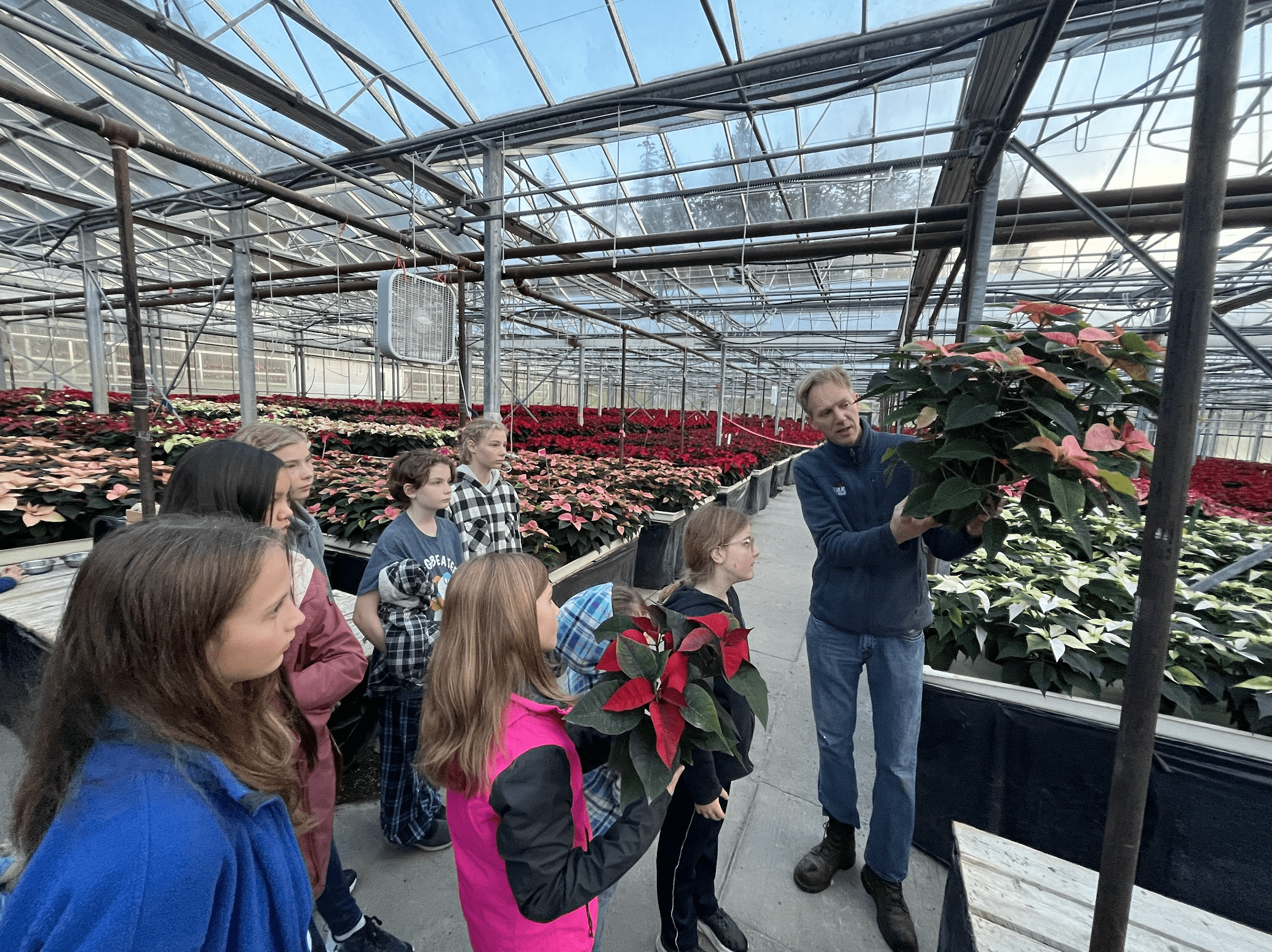 A group of children listens to a man in a greenhouse in Issaquah as he holds a poinsettia plant. Rows of red and white poinsettias fill the background under the glass roof while the children observe and hold plants.