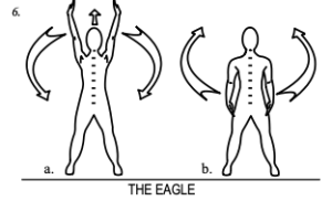 spinal hygiene exercise 6 the eagle