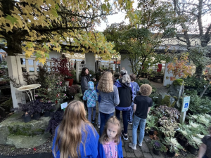 Squak Mountain Nursery, an Issaquah